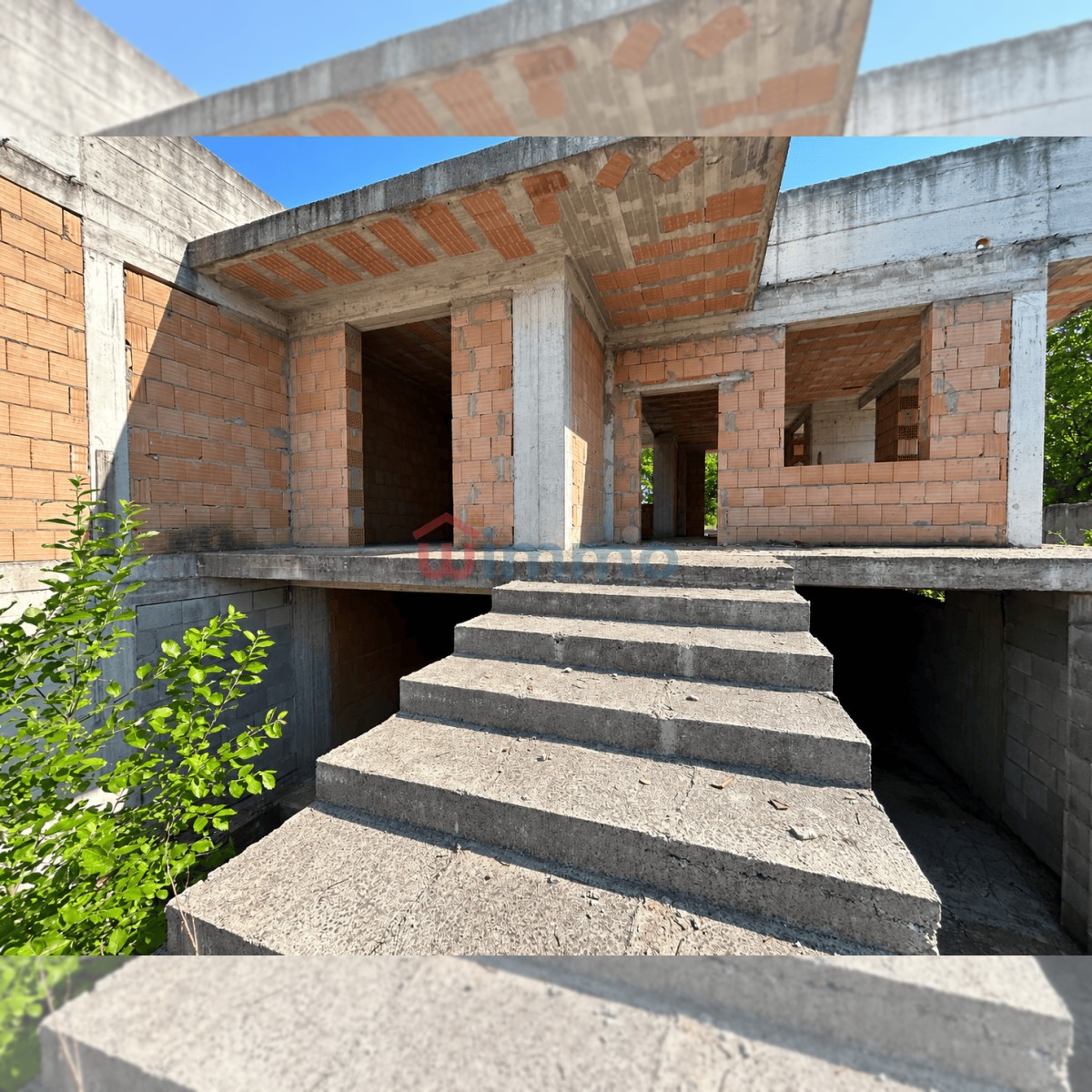 Ingresso