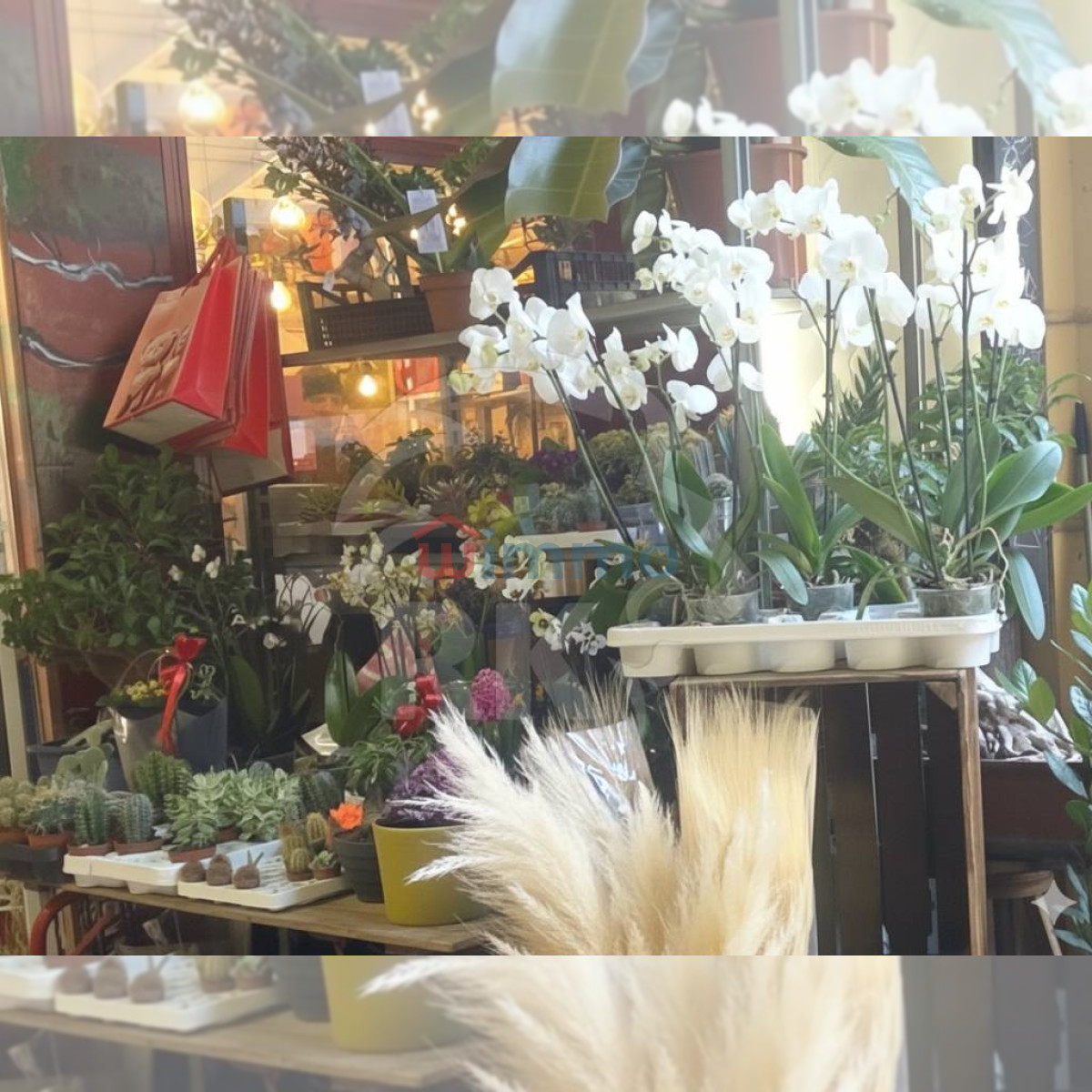 Attività commerciale via dell'Indipendenza 2, Centro Storico, Bologna