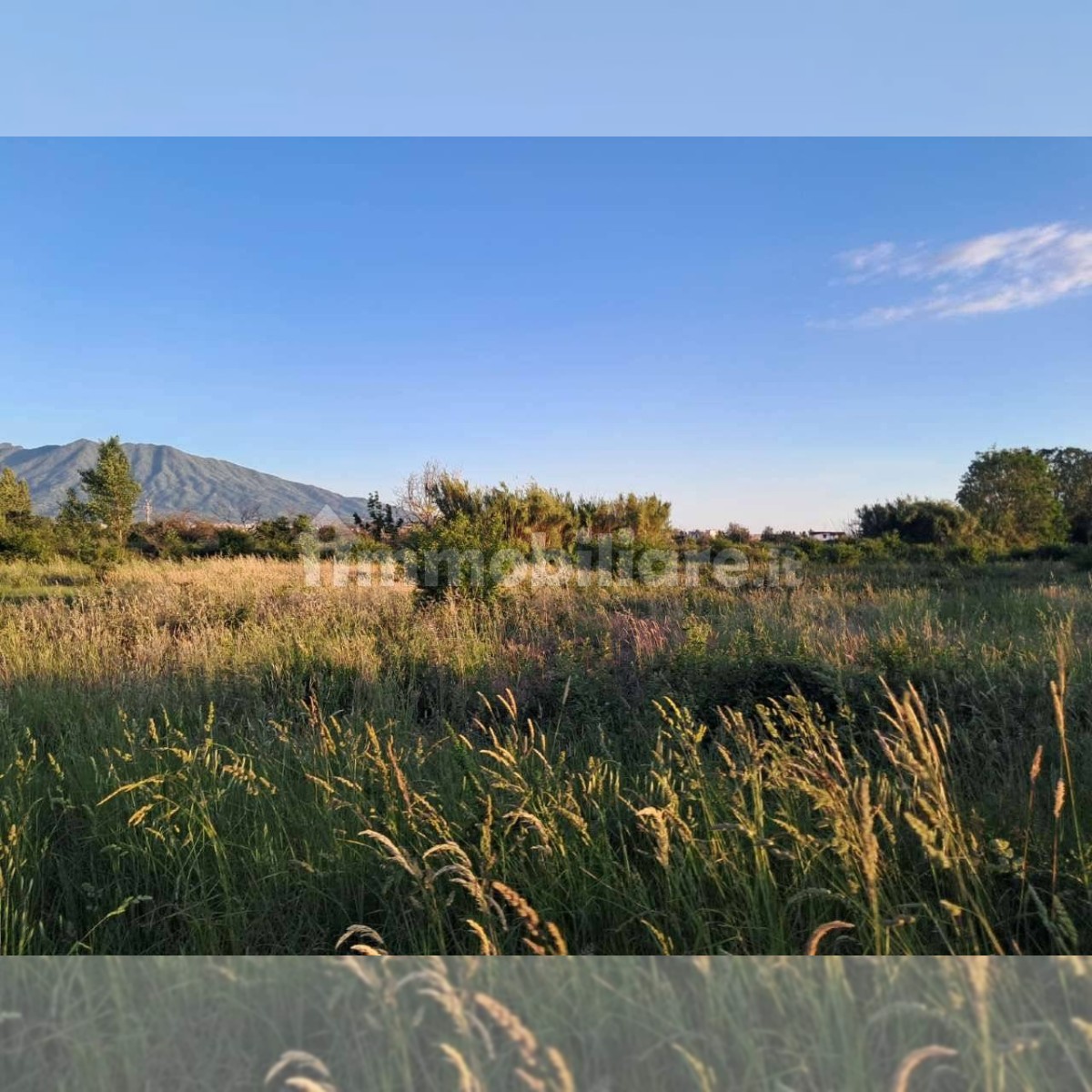 Terreno agricolo Pomigliano d'Arco