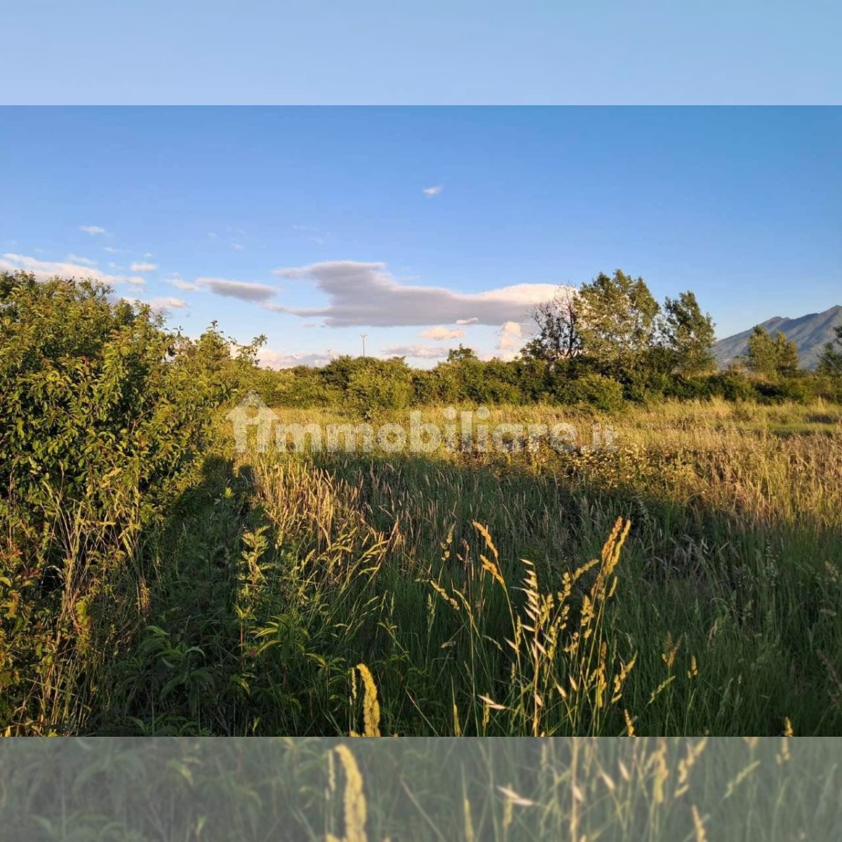 Terreno agricolo Pomigliano d'Arco